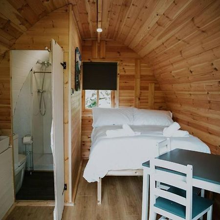 Pine Cosy Winter Cabin - Hot Tub & Log Burner Apartman Barmouth Kültér fotó