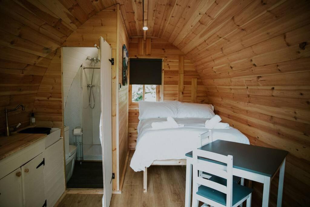 Pine Cosy Winter Cabin - Hot Tub & Log Burner Apartman Barmouth Kültér fotó