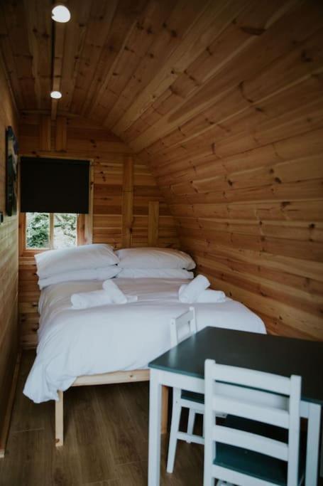 Pine Cosy Winter Cabin - Hot Tub & Log Burner Apartman Barmouth Kültér fotó